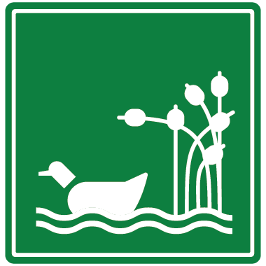 Avistamiento de Aves