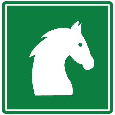Caballos