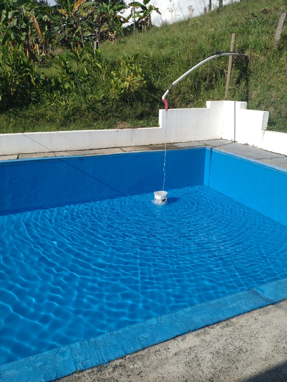 Piscina y Entretenimiento